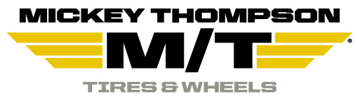 LIGHT TRUCK WHEEL