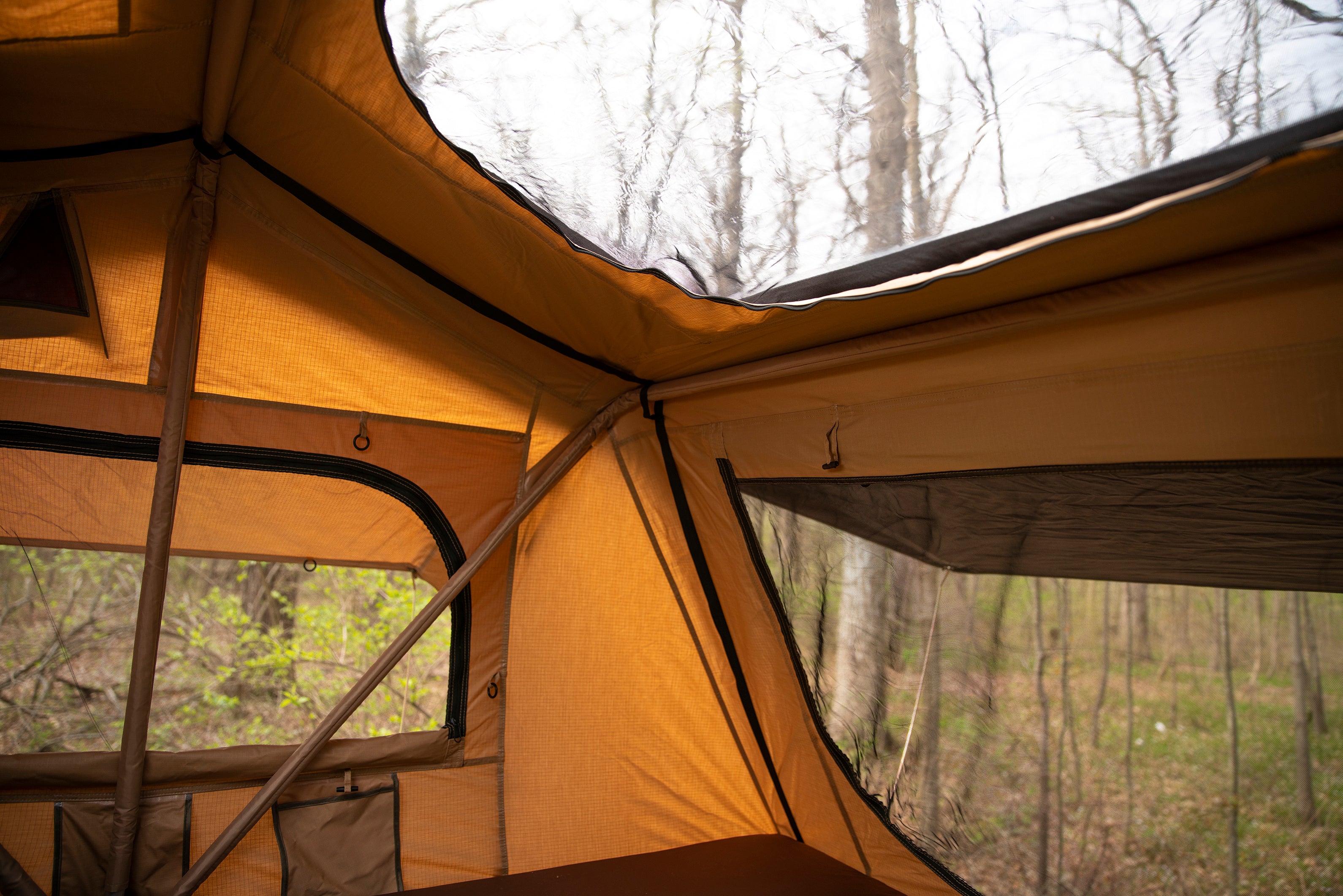 TNT1.4 Series - Orange Coffee Brown Trim - Coffee Brown Orange Trim